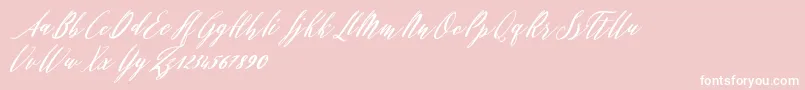 Evelyne Font – White Fonts on Pink Background