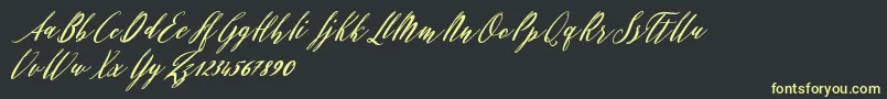 Evelyne Font – Yellow Fonts on Black Background