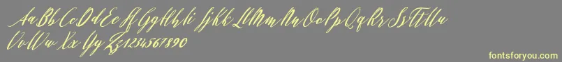 Evelyne Font – Yellow Fonts on Gray Background