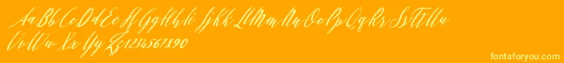 Evelyne Font – Yellow Fonts on Orange Background