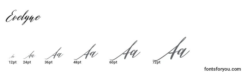 Размеры шрифта Evelyne