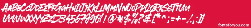 EVER LOOSER Font – White Fonts on Red Background