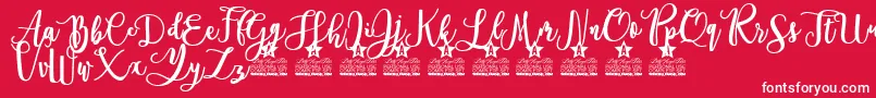 Everlast Personal Use Font – White Fonts on Red Background