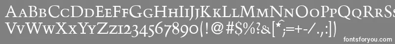 TroubadoursmcRegular Font – White Fonts on Gray Background