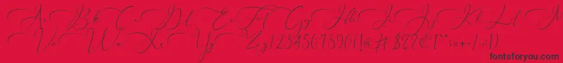 Everything Calligraphy  -fontti – mustat fontit punaisella taustalla