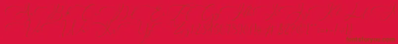 Шрифт Everything Calligraphy   – коричневые шрифты на красном фоне
