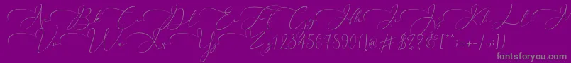 Everything Calligraphy  -fontti – harmaat kirjasimet violetilla taustalla