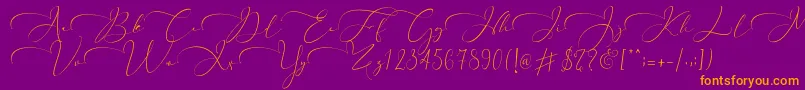 Everything Calligraphy   Font – Orange Fonts on Purple Background