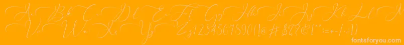 Everything Calligraphy  -fontti – vaaleanpunaiset fontit oranssilla taustalla
