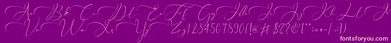 Everything Calligraphy  -fontti – vaaleanpunaiset fontit violetilla taustalla