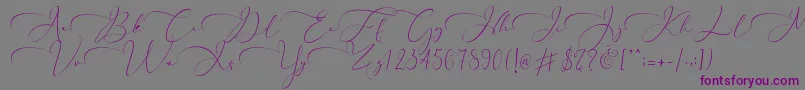 Everything Calligraphy  -fontti – violetit fontit harmaalla taustalla