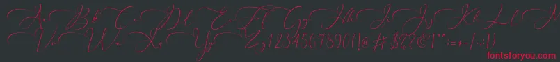 Everything Calligraphy   Font – Red Fonts on Black Background