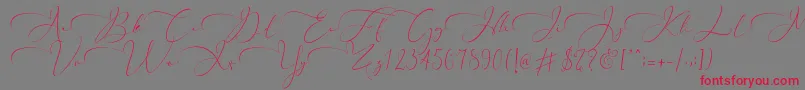 フォントEverything Calligraphy   – 赤い文字の灰色の背景