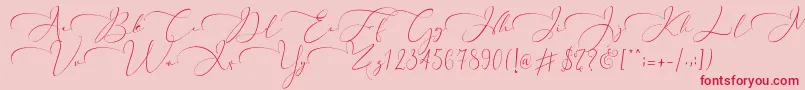 Everything Calligraphy   Font – Red Fonts on Pink Background