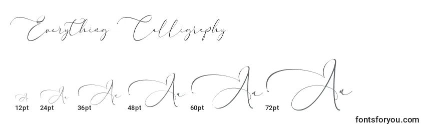 Размеры шрифта Everything Calligraphy  