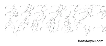 Przegląd czcionki Everything Calligraphy  