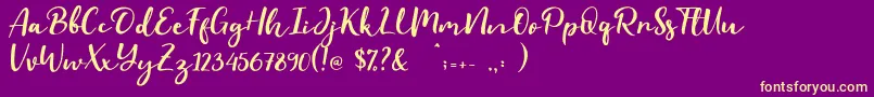 Evident Font – Yellow Fonts on Purple Background