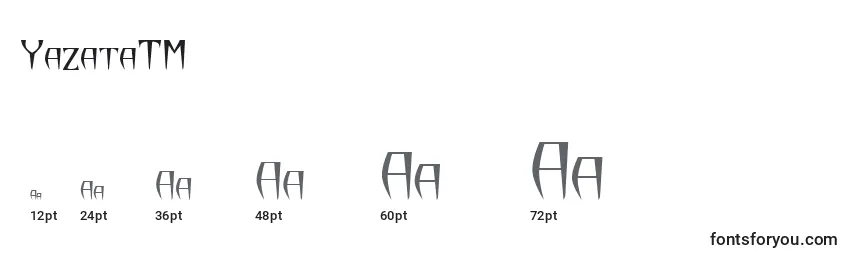 Размеры шрифта YazataTM