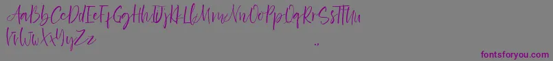 Exotico Demo Font – Purple Fonts on Gray Background