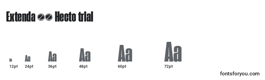Extenda 40 Hecto trial Font Sizes