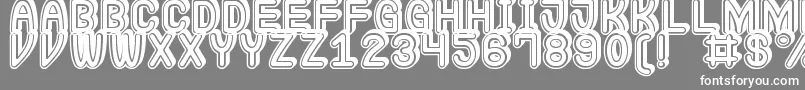 Extra Gro St Font – White Fonts on Gray Background