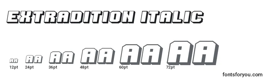 Размеры шрифта Extradition Italic
