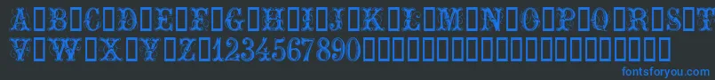 ExtraOrnamentalNo2 Font – Blue Fonts on Black Background