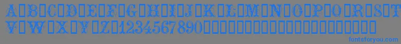 ExtraOrnamentalNo2 Font – Blue Fonts on Gray Background