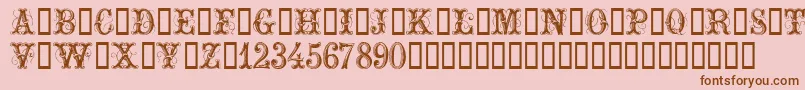 ExtraOrnamentalNo2 Font – Brown Fonts on Pink Background