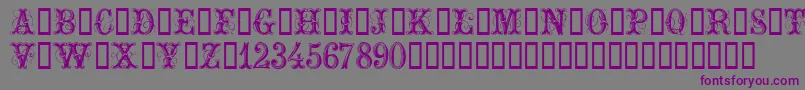 ExtraOrnamentalNo2 Font – Purple Fonts on Gray Background