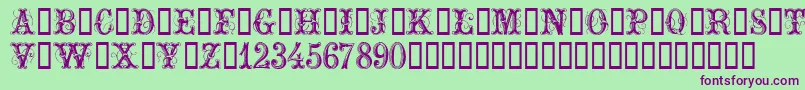 ExtraOrnamentalNo2 Font – Purple Fonts on Green Background