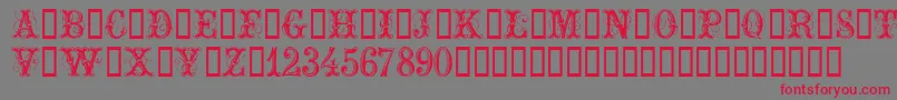 ExtraOrnamentalNo2 Font – Red Fonts on Gray Background