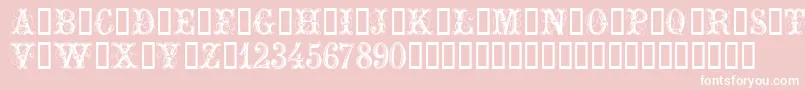 ExtraOrnamentalNo2 Font – White Fonts on Pink Background