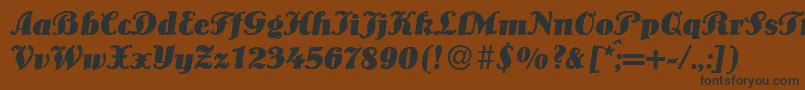LouisBolditalic Font – Black Fonts on Brown Background