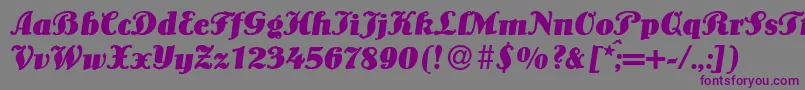 Шрифт LouisBolditalic – фиолетовые шрифты на сером фоне