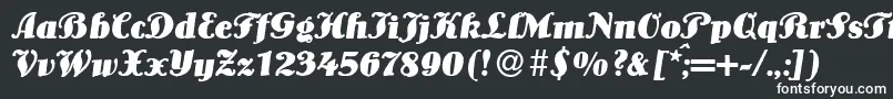 LouisBolditalic Font – White Fonts on Black Background