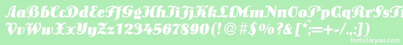 LouisBolditalic Font – White Fonts on Green Background