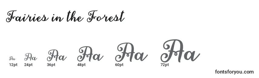 Größen der Schriftart Fairies in the Forest  