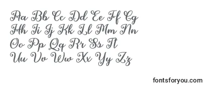 Fairies in the Forest   Font