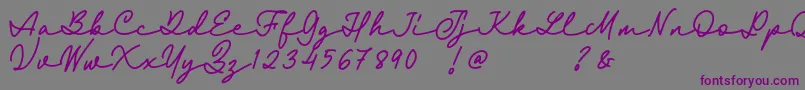 フォントFairyland Demo Font – 紫色のフォント、灰色の背景