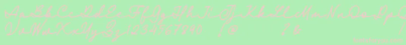 Fairyland Demo Font-Schriftart – Rosa Schriften auf grünem Hintergrund