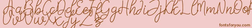 Falicia Font – Brown Fonts on Pink Background