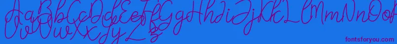 Falicia-Schriftart – Violette Schriften auf blauem Hintergrund