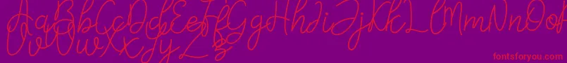 Falicia Font – Red Fonts on Purple Background