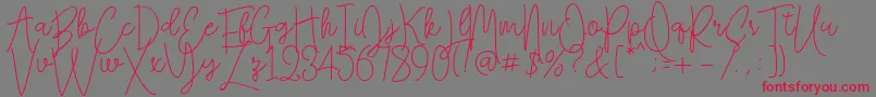 Falling Slowly Free Demo Font – Red Fonts on Gray Background