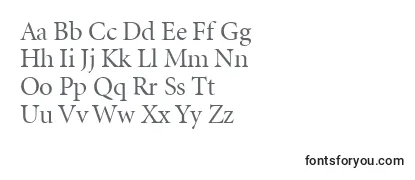 MinionLtRegularDisplay Font