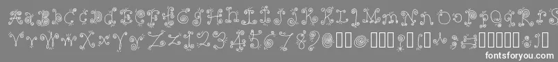 FancyNancy Regular Font – White Fonts on Gray Background