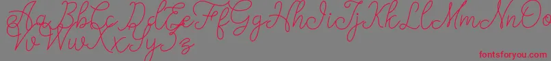 fanya Font – Red Fonts on Gray Background