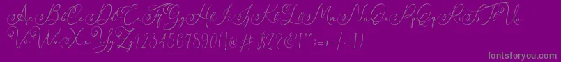 Faradilla   Regular   Font – Gray Fonts on Purple Background