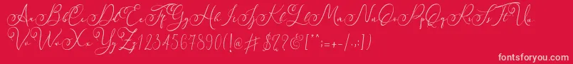 Faradilla   Regular   Font – Pink Fonts on Red Background